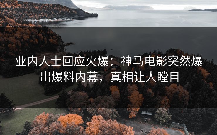业内人士回应火爆：神马电影突然爆出爆料内幕，真相让人瞠目